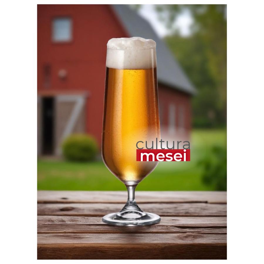 COLUMBA - Pahare bere sticla cristalina Bohemia 470 ml (set 6 bucati)